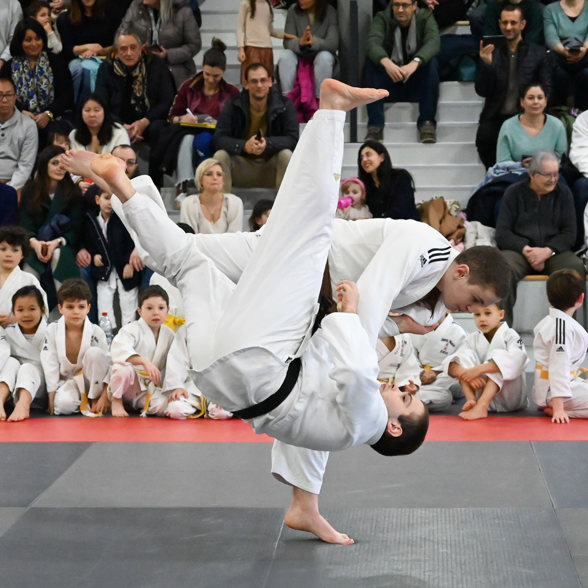 Cours-de-judo
